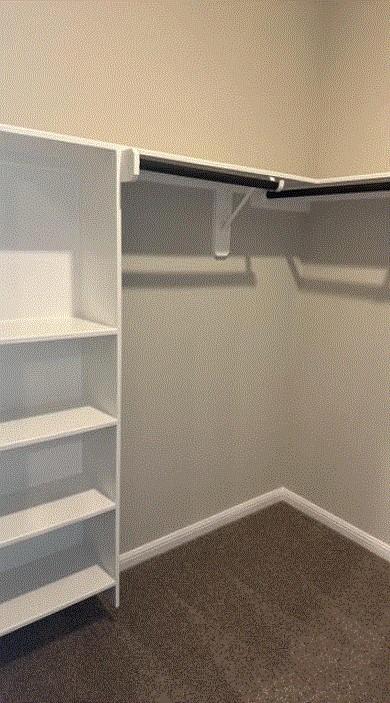 1020 Vista View Dr Unit 2001, Georgetown, TX 78626 - spacious closet with carpet flooring