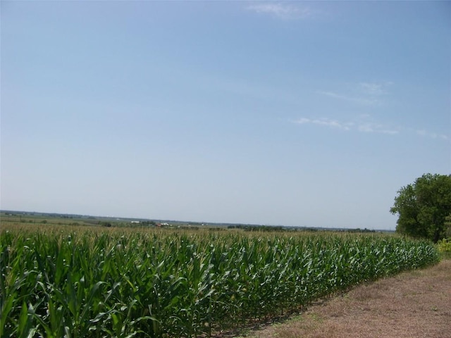 10650 Fm 971st Rd, Granger, TX 76530 - photo 5