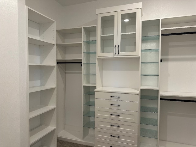 104 High View Trl, Lakeway, TX 78738 - view of spacious closet
