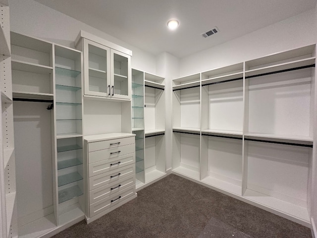 104 High View Trl, Lakeway, TX 78738 - spacious closet featuring dark carpet