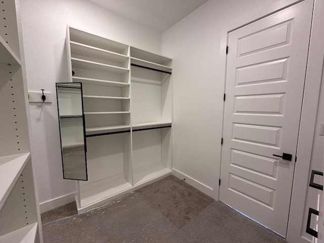104 High View Trl, Lakeway, TX 78738 - spacious closet with dark carpet