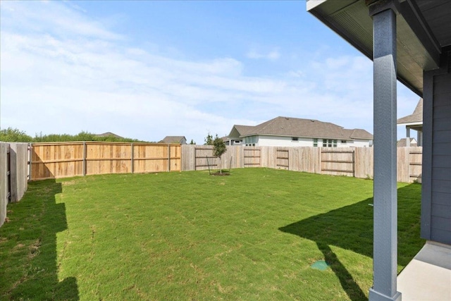 240 Camino Verde Dr, San Marcos, TX 78666 - view of yard