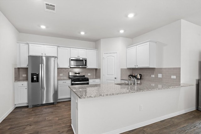 110 Saide St, Georgetown, TX 78626 - kitchen featuring stainless steel appliances, dark wood-type flooring, light stone countertops, decorative backsplash, and recessed lighting