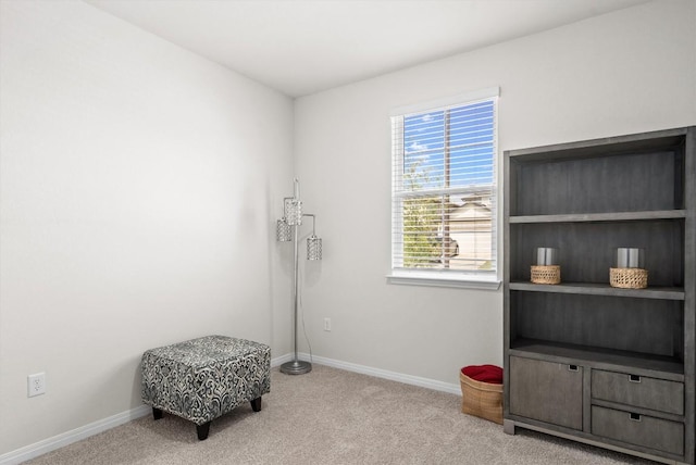 110 Saide St, Georgetown, TX 78626 - miscellaneous room featuring carpet floors and baseboards
