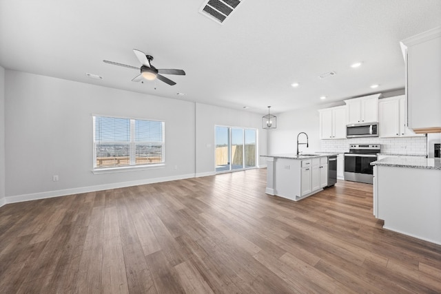 17012 Wind Chime Dr, Manor, TX 78653 - kitchen featuring appliances with stainless steel finishes, a sink, open floor plan, a ceiling fan, and a kitchen island with sink
