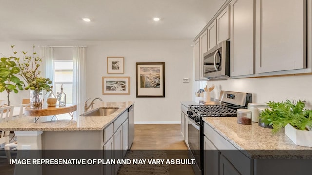 272 Morning Glory Loop, Kyle, TX 78640 - kitchen with stainless steel appliances, a sink, light wood-style floors, gray cabinets, and a kitchen island with sink