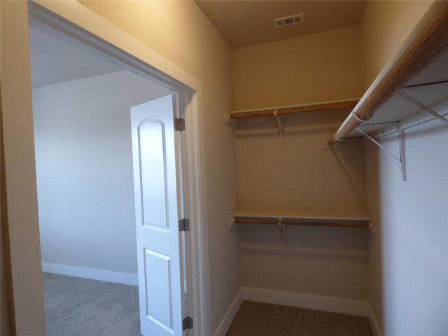 918 Crystal Brook Cv, New Braunfels, TX 78130 - walk in closet with carpet flooring