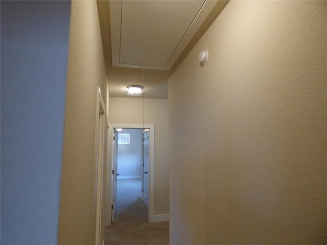 918 Crystal Brook Cv, New Braunfels, TX 78130 - hallway with attic access and light carpet