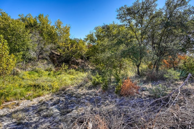 530 Scenic View Dr, Marble Falls, TX 78654 - view of tree filled area