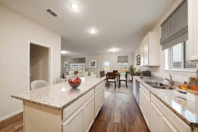 576 Tailwind Dr, Kyle, TX 78640 - kitchen featuring a sink, a kitchen island, dark wood-style flooring, stainless steel dishwasher, and light stone counters