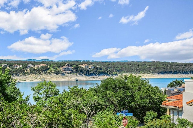 137 Firebird St, Lakeway, TX 78734 - water view