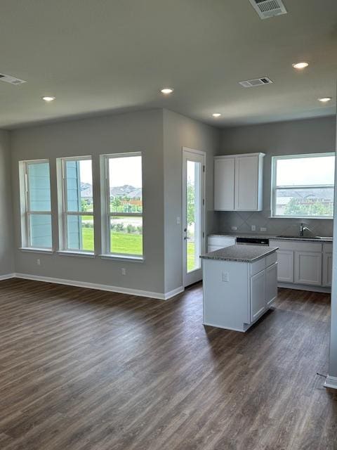 1015 Vista View Dr Unit 101, Georgetown, TX 78626 - kitchen with plenty of natural light, dark wood-style flooring, baseboards, and recessed lighting