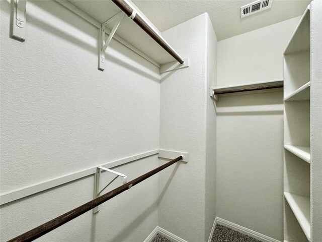 513 N Heatherwilde Blvd, Pflugerville, TX 78660 - view of walk in closet