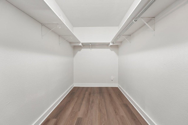 100 Blanco Woods Blvd, Elgin, TX 78621 - spacious closet with wood finished floors