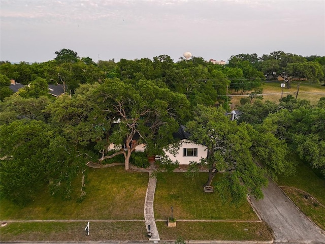 122 W Sierra Cir, San Marcos, TX 78666 - bird's eye view