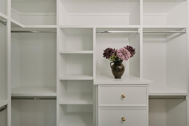 113 Nelray Blvd Unit 1, Austin, TX 78751 - view of spacious closet
