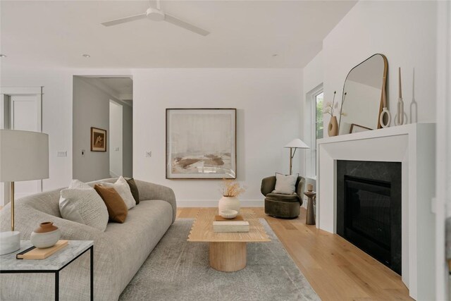 113 Nelray Blvd Unit 1, Austin, TX 78751 - living area featuring wood finished floors, ceiling fan, and a glass covered fireplace