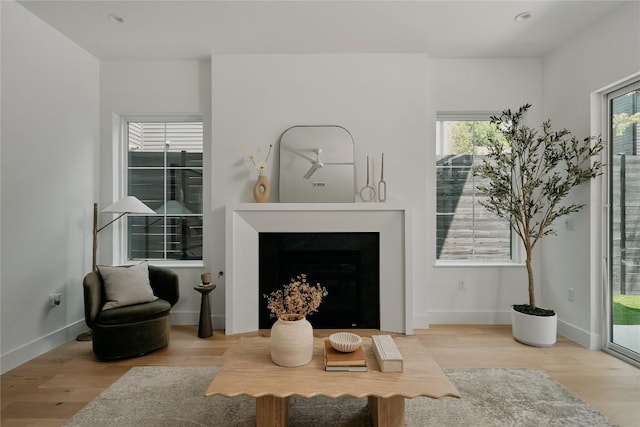 113 Nelray Blvd Unit 1, Austin, TX 78751 - living area featuring wood finished floors, healthy amount of natural light, a fireplace, and recessed lighting