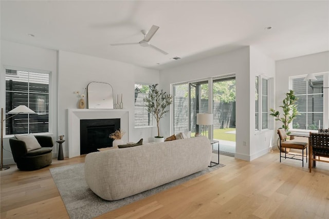 113 Nelray Blvd Unit 1, Austin, TX 78751 - living room with light wood finished floors, a fireplace, and ceiling fan