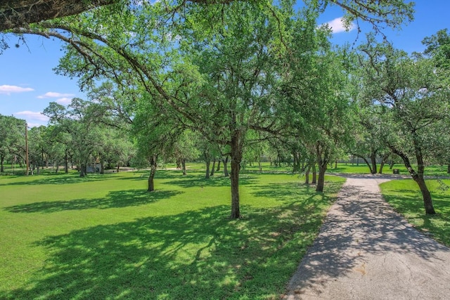 780 Oakdale Dr, Sunset Valley, TX 78745 - photo 7