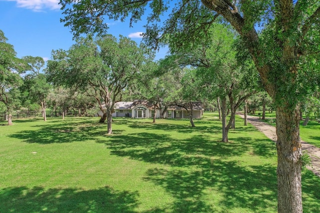 780 Oakdale Dr, Sunset Valley, TX 78745 - photo 4