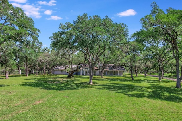 780 Oakdale Dr, Sunset Valley, TX 78745 - photo 5