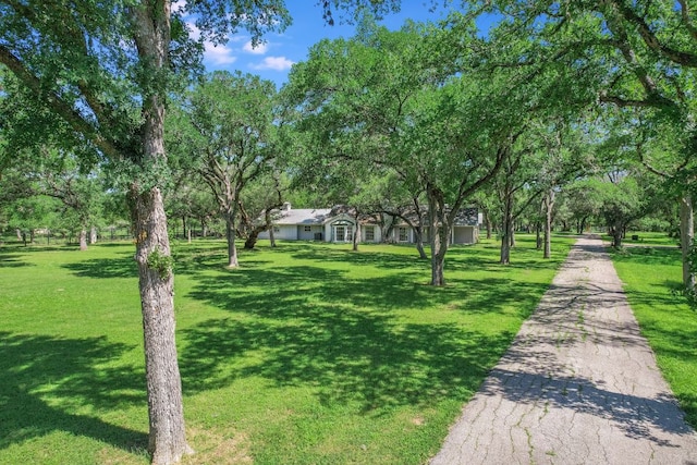 780 Oakdale Dr, Sunset Valley, TX 78745 - photo 3