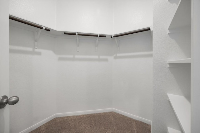 500 Municipal Dr Unit 105, Leander, TX 78641 - walk in closet featuring carpet floors
