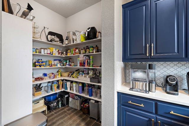509 Leon Loop, Liberty Hill, TX 78642 - view of storage area