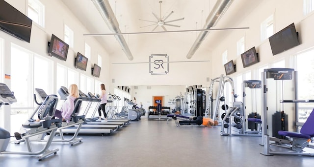 509 Leon Loop, Liberty Hill, TX 78642 - exercise room with a towering ceiling and plenty of natural light