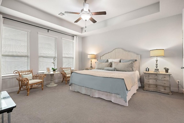 509 Leon Loop, Liberty Hill, TX 78642 - carpeted bedroom featuring a tray ceiling, baseboards, and a ceiling fan