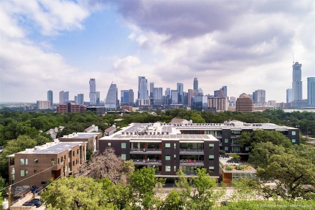 900 S 1st St Unit 416, Austin, TX 78704 - view of city skyline