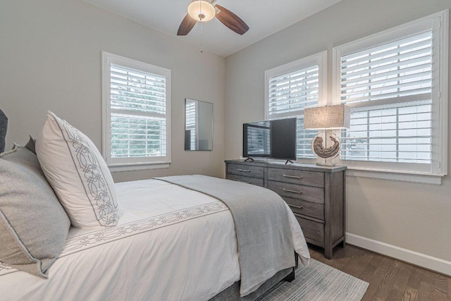 213 Sowing Oak Dr, San Marcos, TX 78666 - bedroom featuring multiple windows, wood finished floors, baseboards, and ceiling fan