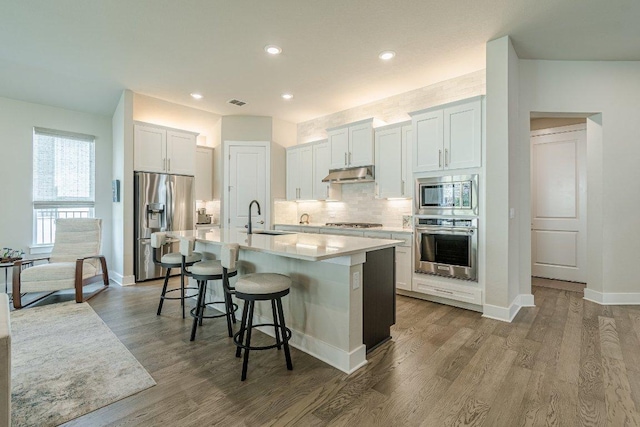 433 Skipping Cedar St, San Marcos, TX 78666 - kitchen featuring stainless steel appliances, under cabinet range hood, a sink, a breakfast bar area, and an island with sink