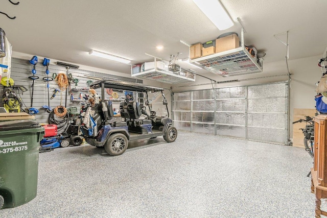 433 Skipping Cedar St, San Marcos, TX 78666 - view of garage
