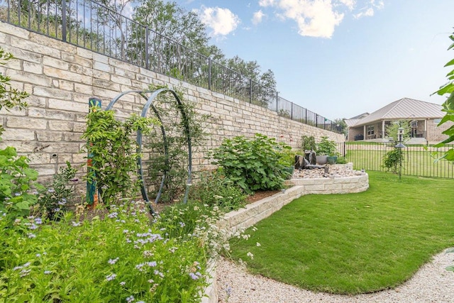 433 Skipping Cedar St, San Marcos, TX 78666 - view of yard