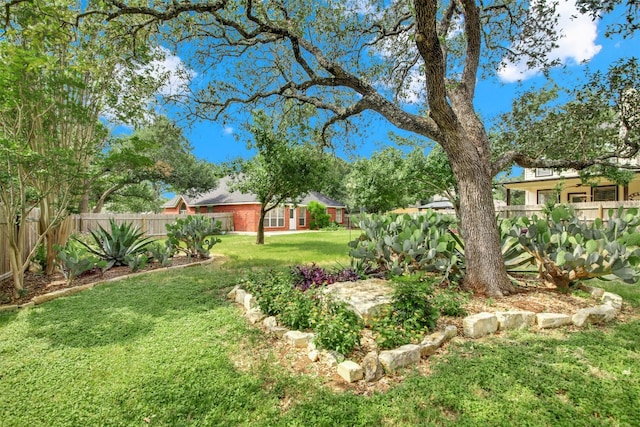 1803 Shooting Star Cv, Cedar Park, TX 78613 - view of yard