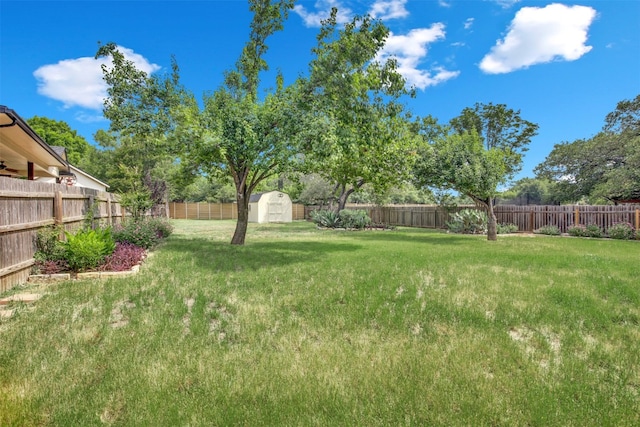 1803 Shooting Star Cv, Cedar Park, TX 78613 - view of yard