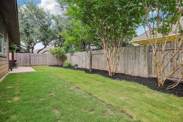 2228 Hilltop Climb Dr, Leander, TX 78641 - view of yard
