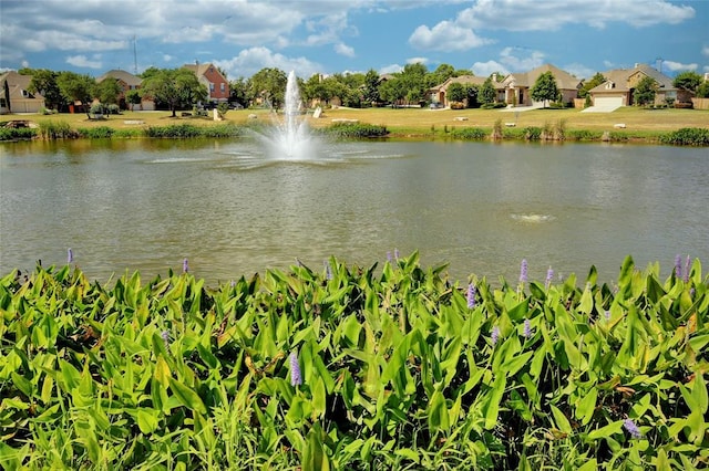 2228 Hilltop Climb Dr, Leander, TX 78641 - water view