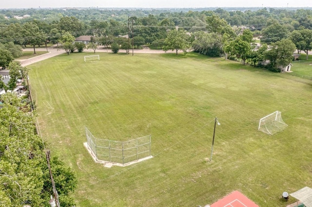 3109 Anacacho Dr, Temple, TX 76502 - photo 32