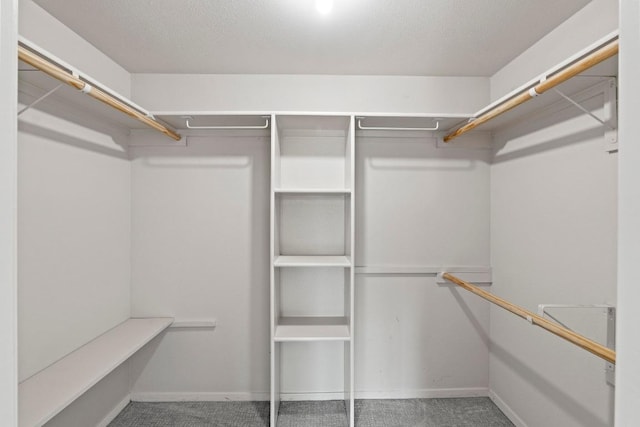 1135 Barton Hills Dr Unit 240, Austin, TX 78704 - spacious closet featuring carpet floors