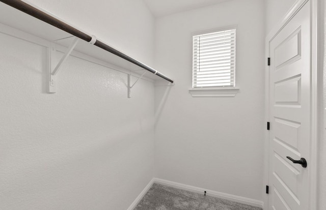 2725 Woodall Dr Unit 1602, Cedar Park, TX 78613 - photo 10