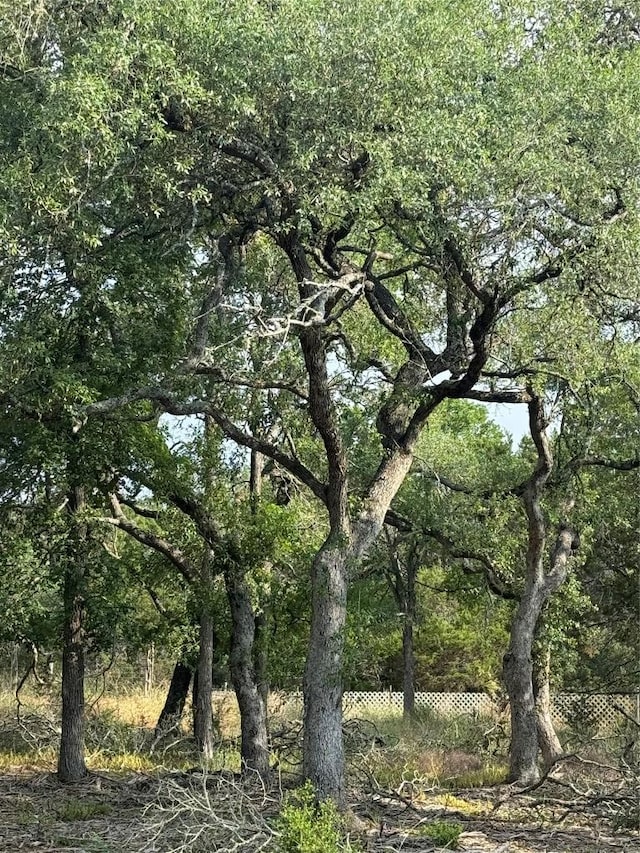 16 W El Camino Real Dr, Wimberley, TX 78676