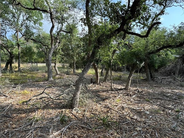 16 W El Camino Real Dr, Wimberley, TX 78676