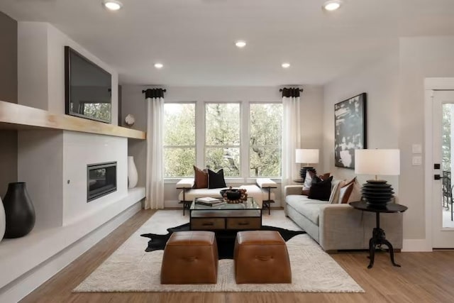 508 Canyoncrest Way, Liberty Hill, TX 78642 - living area featuring a glass covered fireplace, plenty of natural light, wood finished floors, recessed lighting, and baseboards