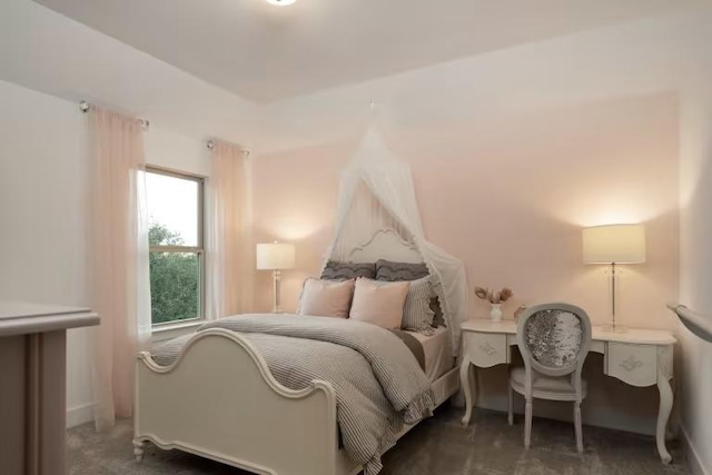 508 Canyoncrest Way, Liberty Hill, TX 78642 - view of carpeted bedroom
