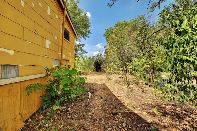 1001 Catalpa St, Austin, TX 78702 - view of yard