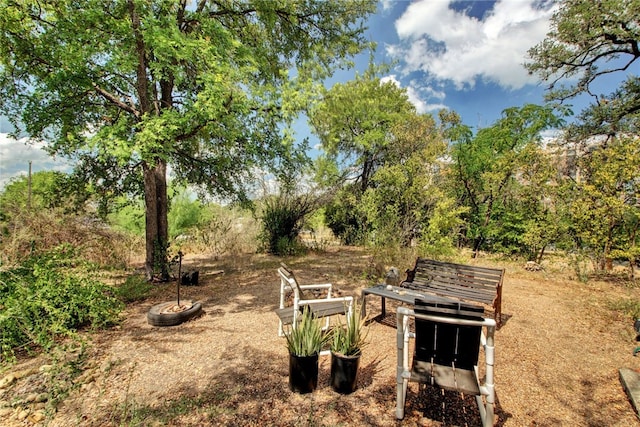 1001 Catalpa St, Austin, TX 78702 - view of yard with an outdoor fire pit