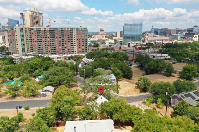 1001 Catalpa St, Austin, TX 78702 - view of urban area